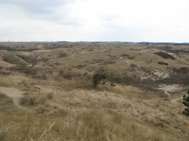 Табличка какая-то на входе... Табличка какая-то на входе...