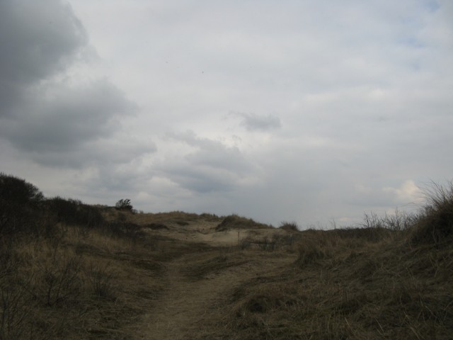 Природный Монумент Южная-Кеннемерляндия Юг Природный Монумент Южная-Кеннемерляндия Юг