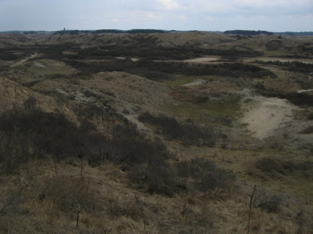 Природный Монумент Южная-Кеннемерляндия Юг Природный Монумент Южная-Кеннемерляндия Юг