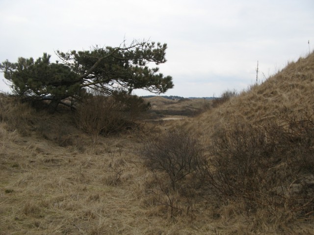 Природный Монумент Южная-Кеннемерляндия Юг Природный Монумент Южная-Кеннемерляндия Юг