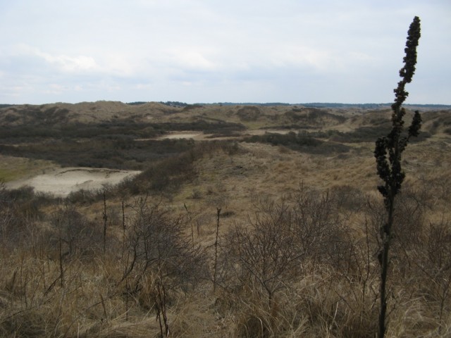 Природный Монумент Южная-Кеннемерляндия Юг Природный Монумент Южная-Кеннемерляндия Юг