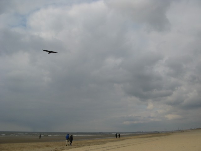 Пляж Блёмендаль аан Зее Пляж Блёмендаль аан Зее