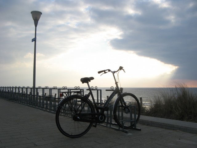 Море, Велосипед, Осока, Фонарь Море, Велосипед, Осока, Фонарь