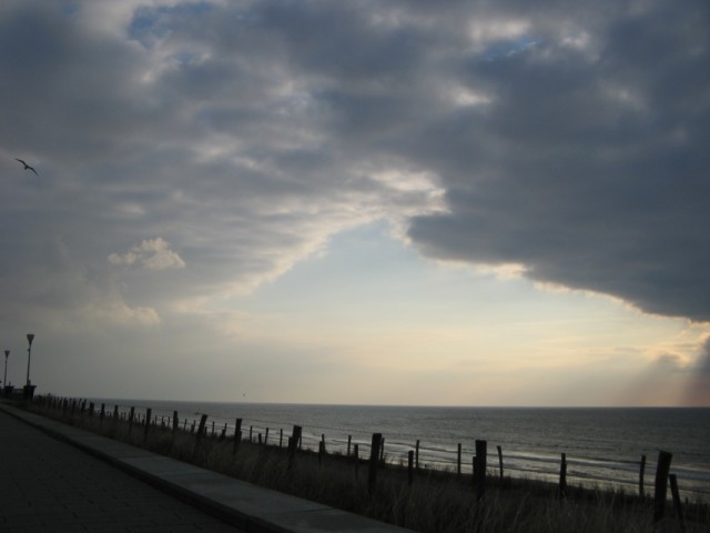 Моооооореее %-)))))) Моооооореее %-))))))