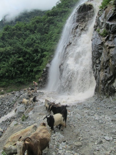 Переходить водопады нужно по следам коз! :)