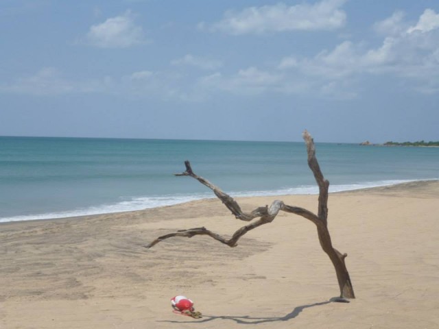 Нилавели2 Нилавели2