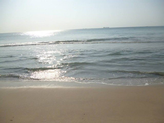 Тринко1 Тринко1