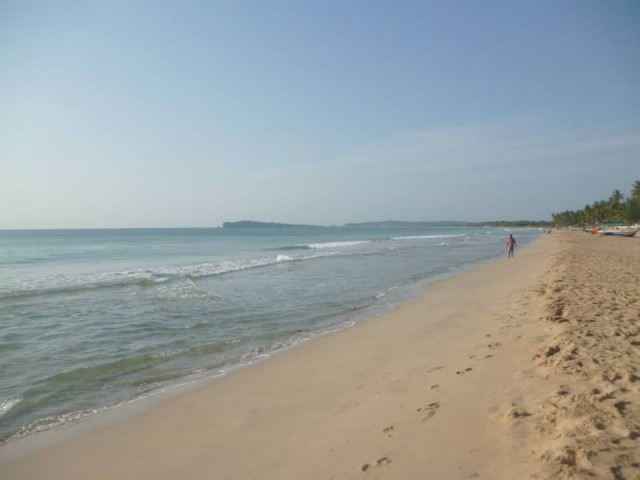 Тринко5 Тринко5