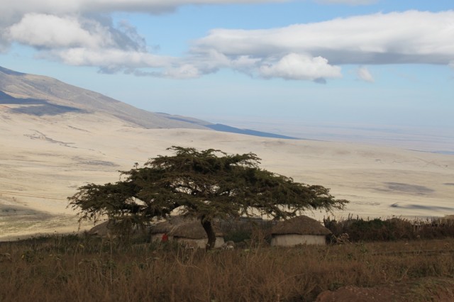 Фото 11 Фото 11