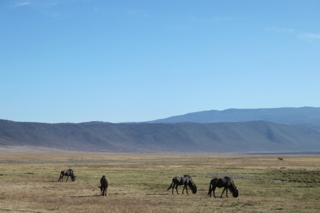 Фото 12 Фото 12