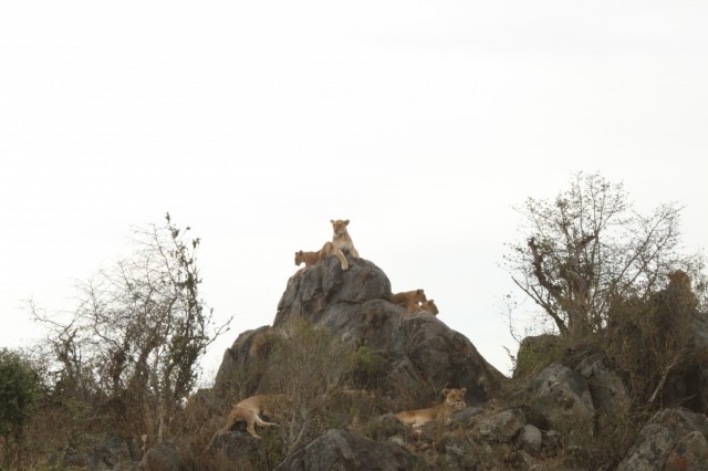 Фото 2 Фото 2