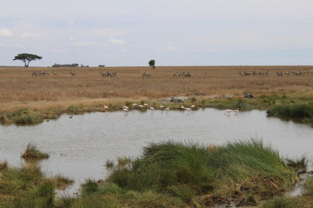 Фото 3 Фото 3