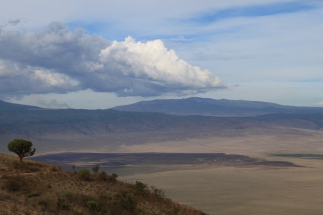 Фото 6 Фото 6