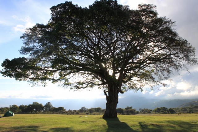 Фото 7 Фото 7