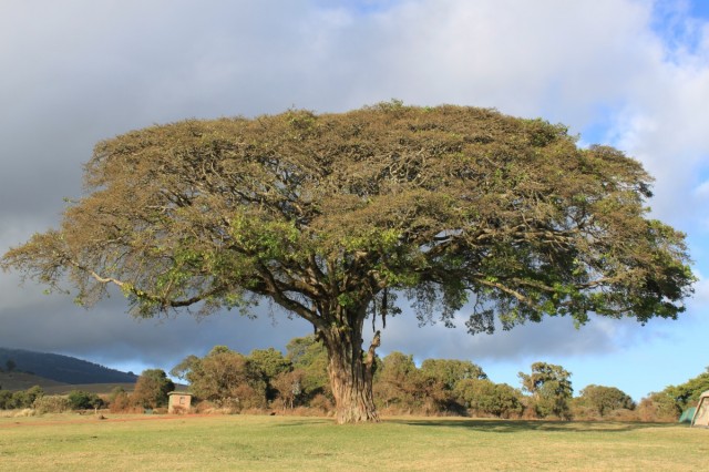 Фото 8 Фото 8