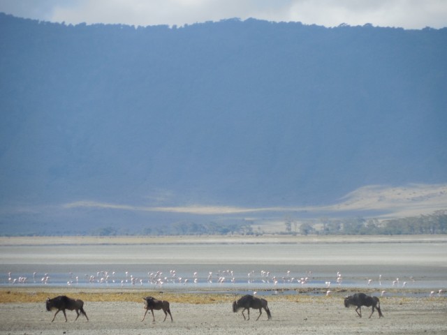 Фото 1 Фото 1