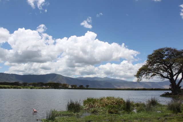 Фото 10 Фото 10