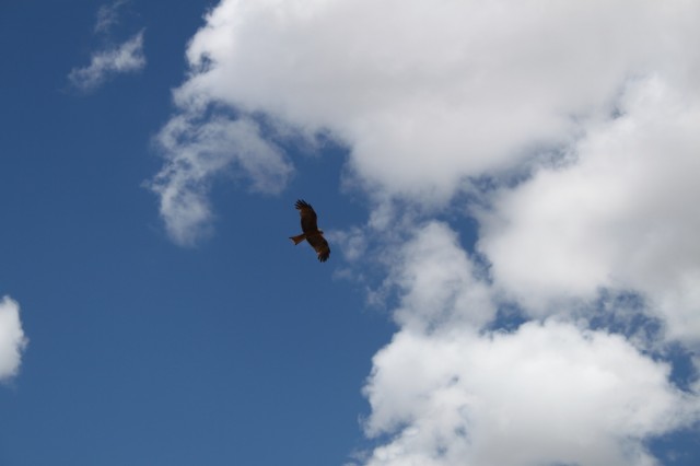 Фото 11 Фото 11