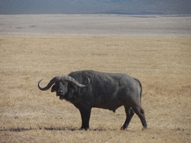 Фото 2 Фото 2