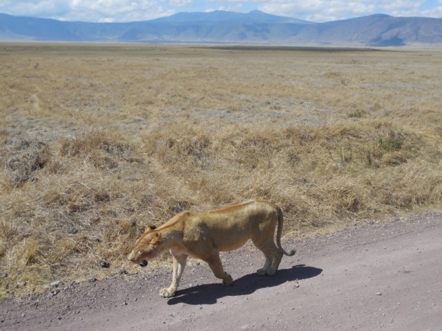 Фото 3 Фото 3