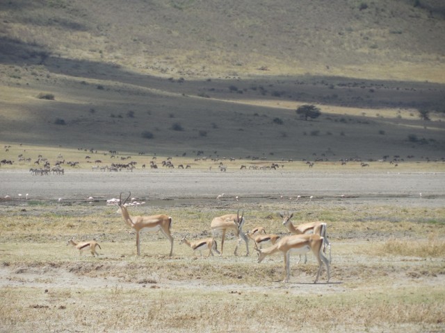 Фото 4 Фото 4