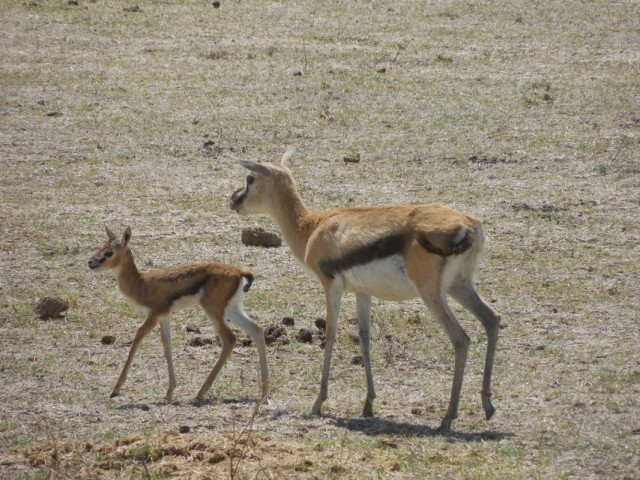 Фото 5 Фото 5