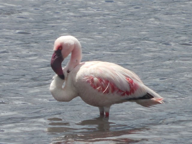 Фото 6 Фото 6