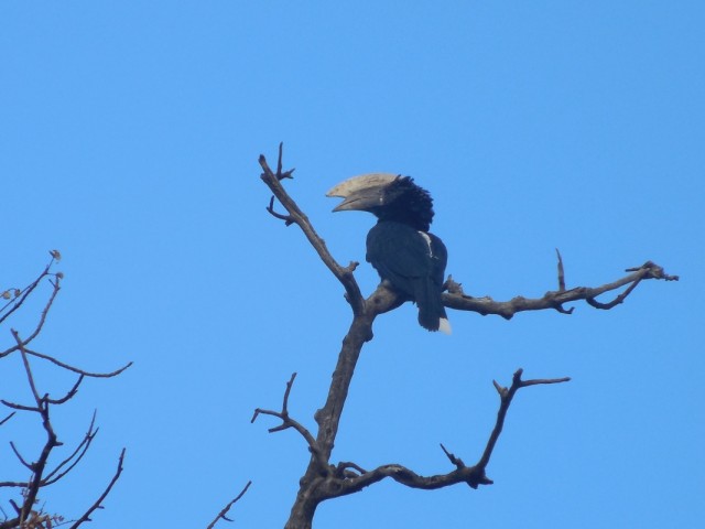 Фото 7 Фото 7