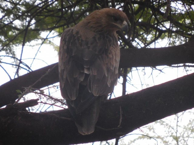 Фото 8 Фото 8