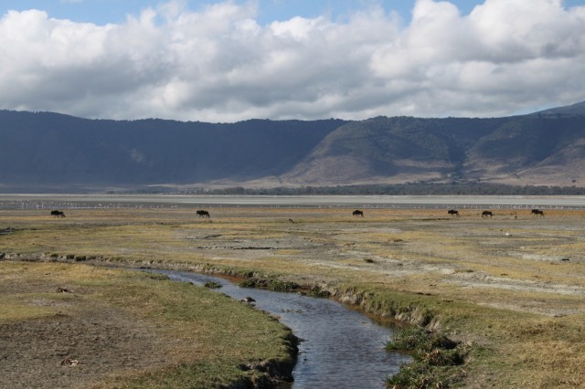 Фото 9 Фото 9