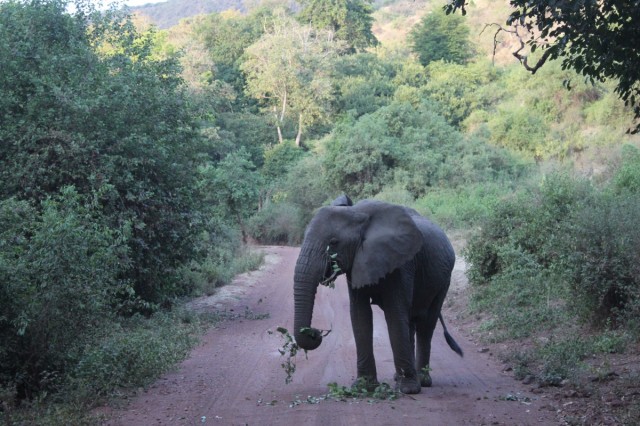 Фото 1 Фото 1