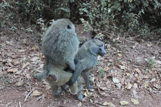 Фото 2 Фото 2