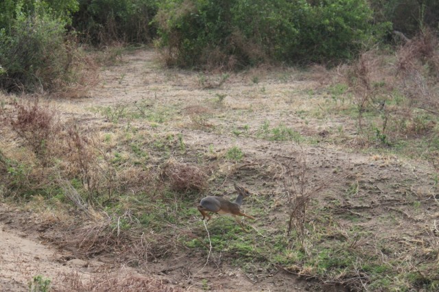 Фото 3 Фото 3