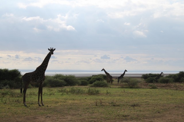 Фото 4 Фото 4