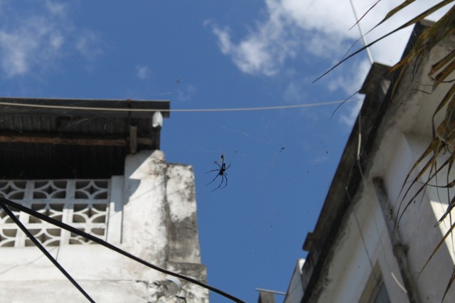 Фото 2 Фото 2