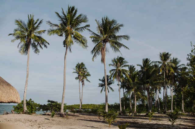 Cowrie island