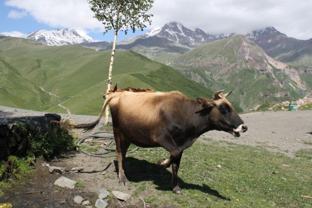 Фото 8 Фото 8