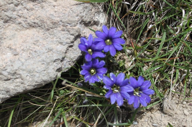 Фото 4 Фото 4