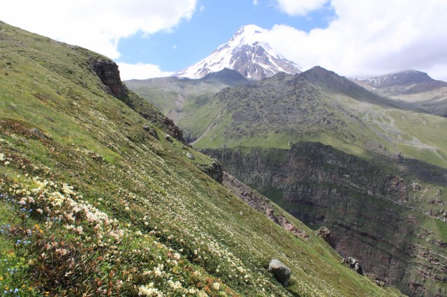Фото 5 Фото 5