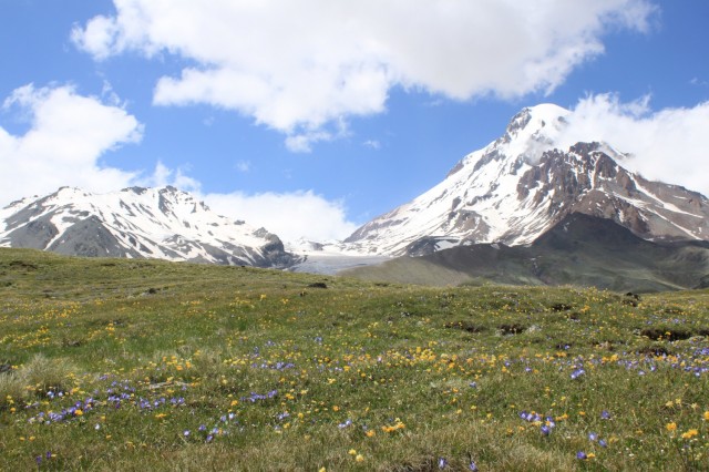 Фото 6 Фото 6