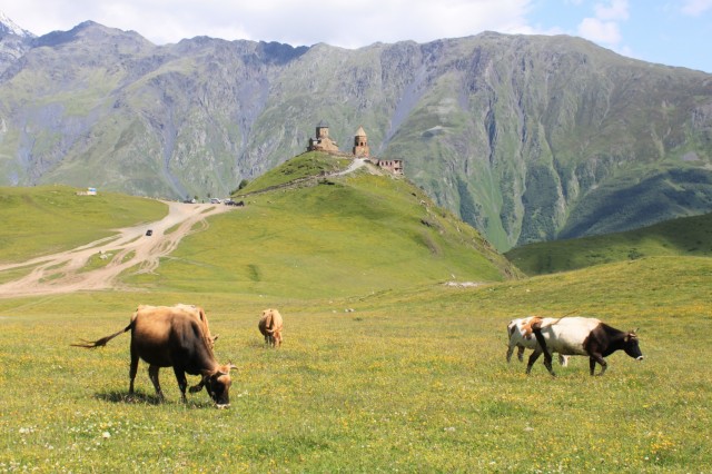 Фото 7 Фото 7