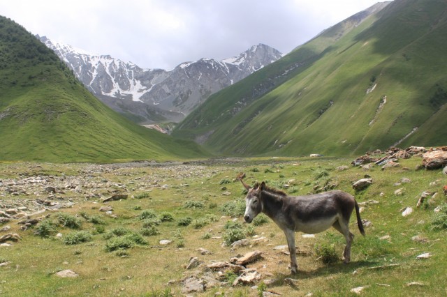 Фото 3 Фото 3