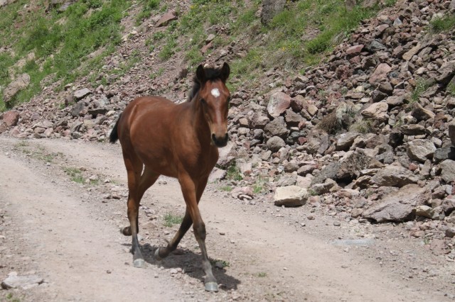 Фото 4 Фото 4