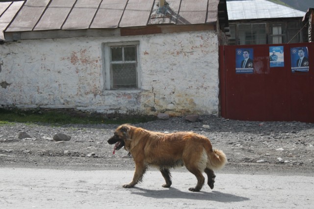 Фото 8 Фото 8