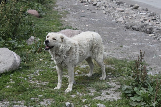 Фото 9 Фото 9