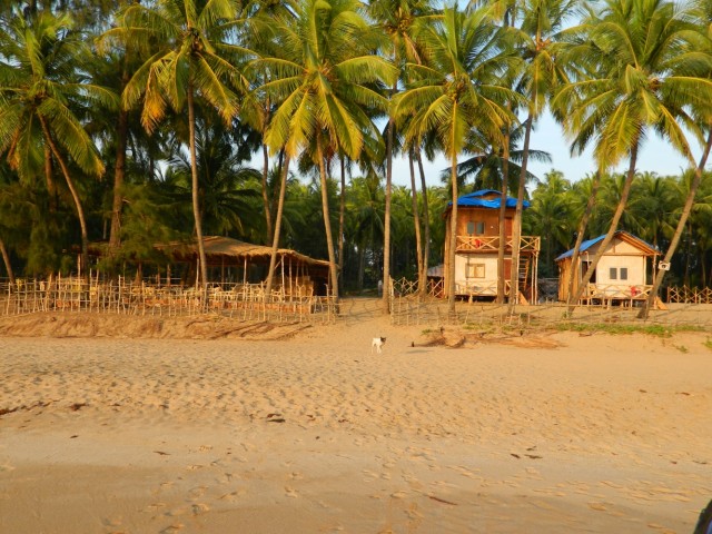 Полем Полем