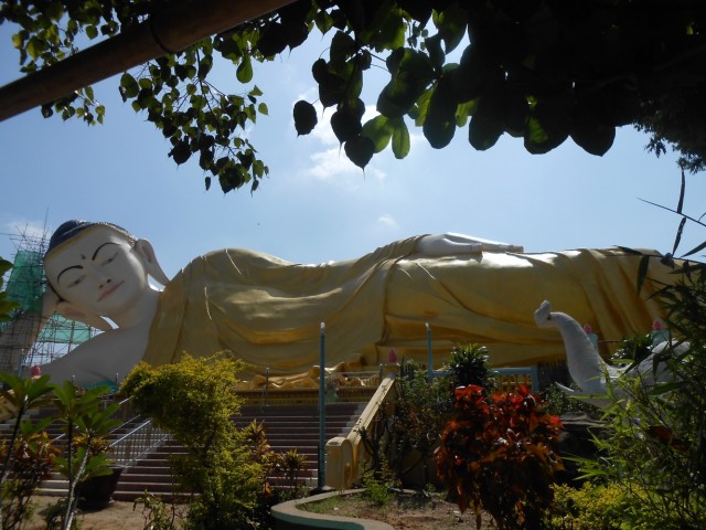 Фото 6 Фото 6