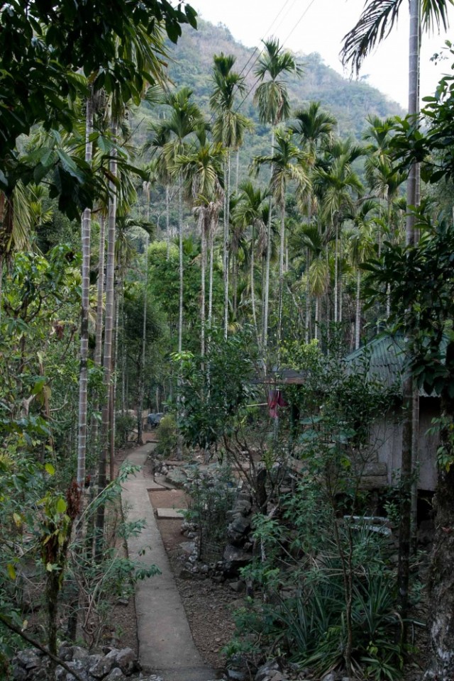 тропа тропа