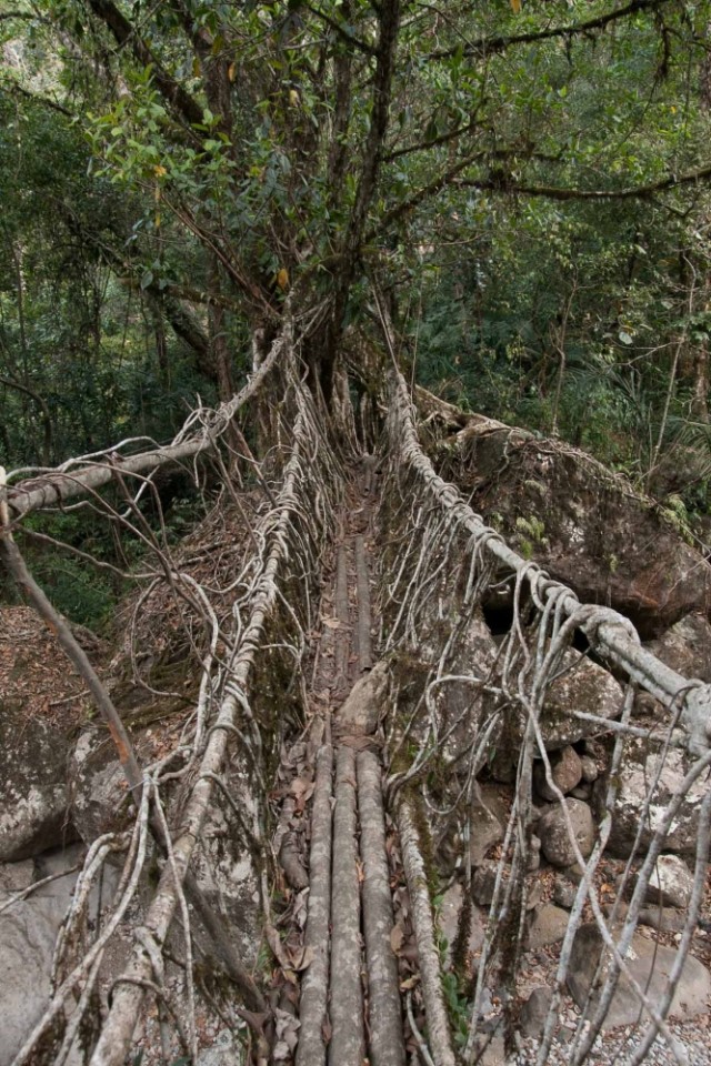 пошли мосты пошли мосты
