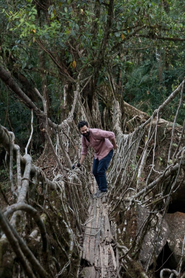 Фото 3 Фото 3